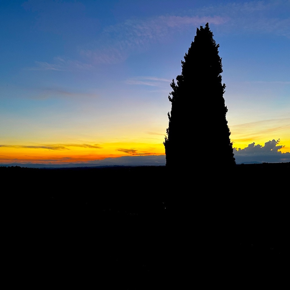 Meet your Posher, Jaime